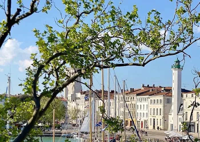 Vue Sur Le Vieux Port